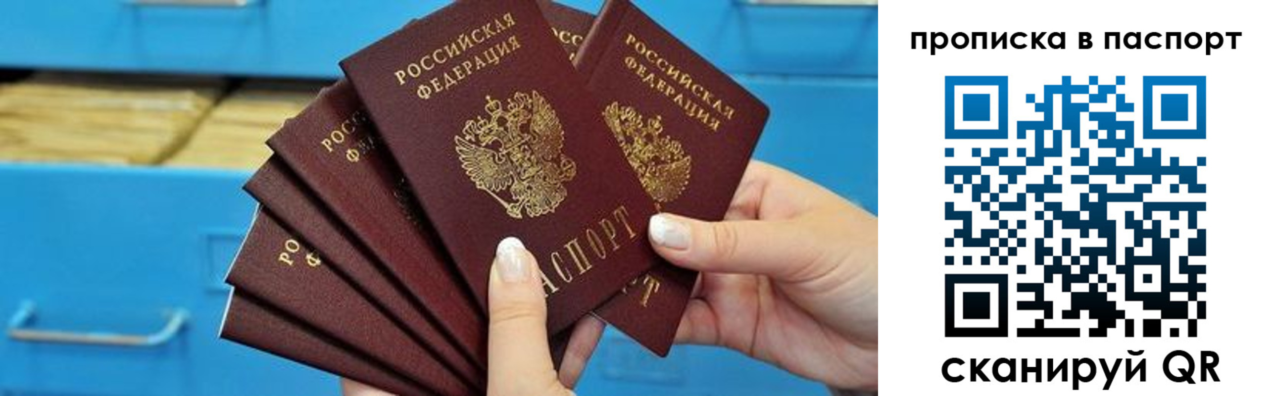 прописка в Ногинске