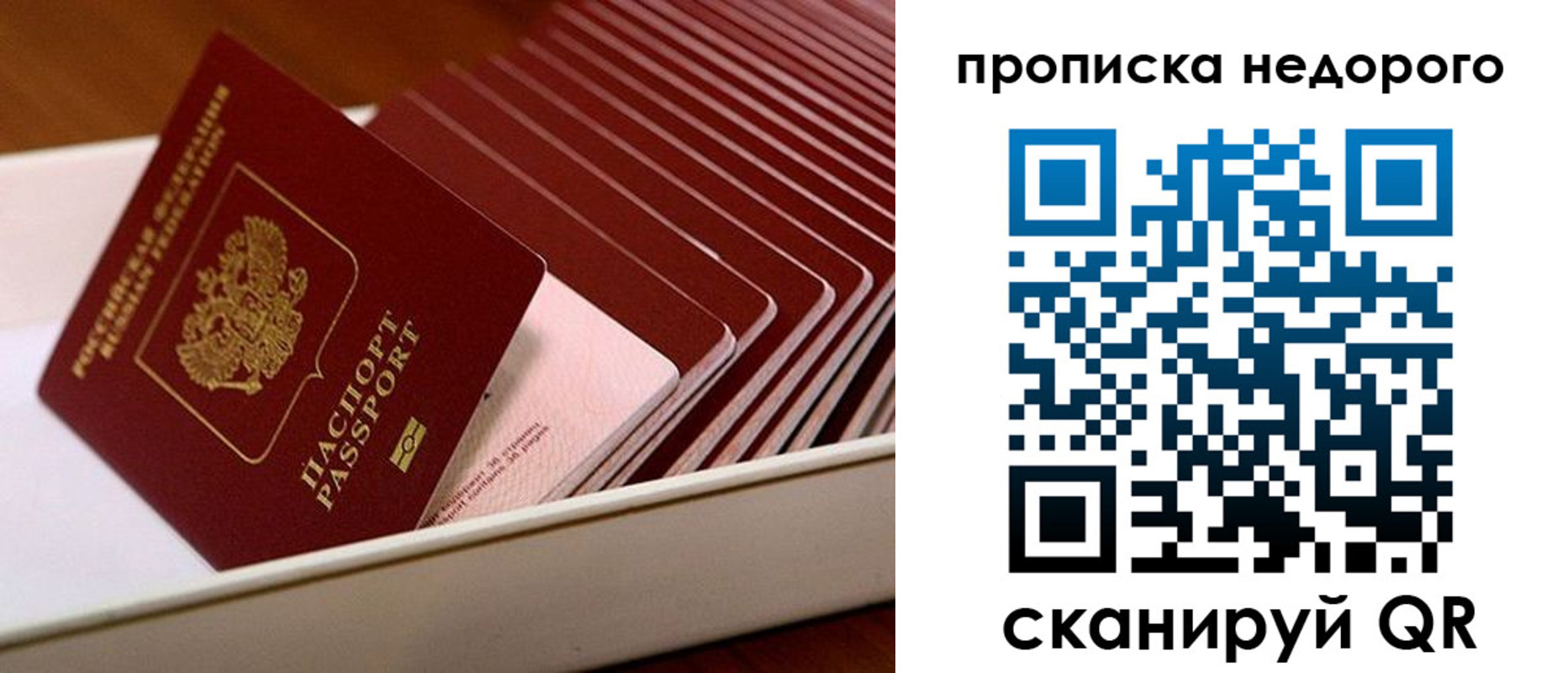 прописка паспорт в Ногинске